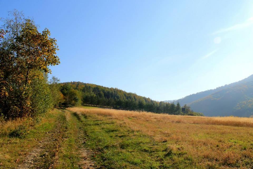 Beskidzki Domek Caloroczny Andrychów Екстериор снимка